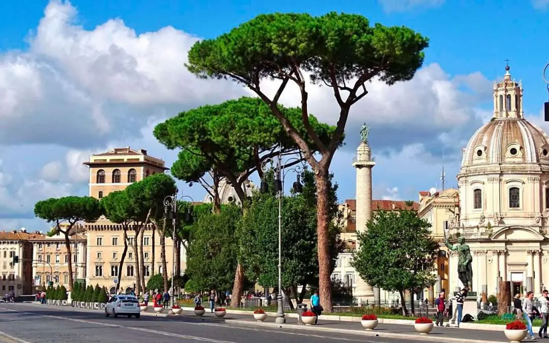 Water Management and Multi-benefit Solutions: Resilient Cities at the Forefront