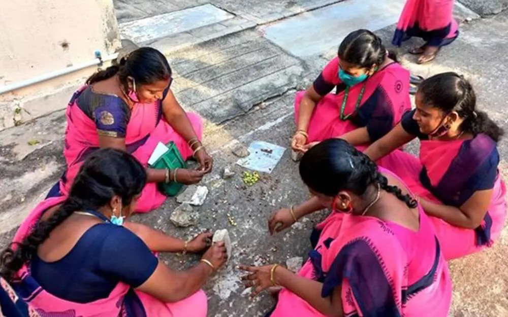 Building Resilient Food Systems: The Chennai Urban Farming Initiative