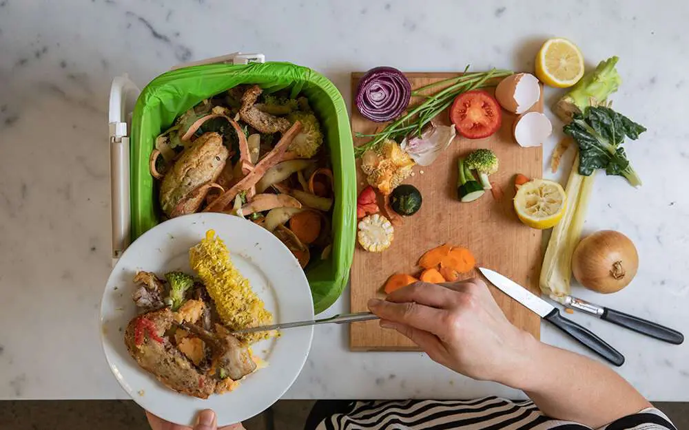 Little food scraps making a big difference - Sydney