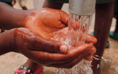 We cannot afford to wait