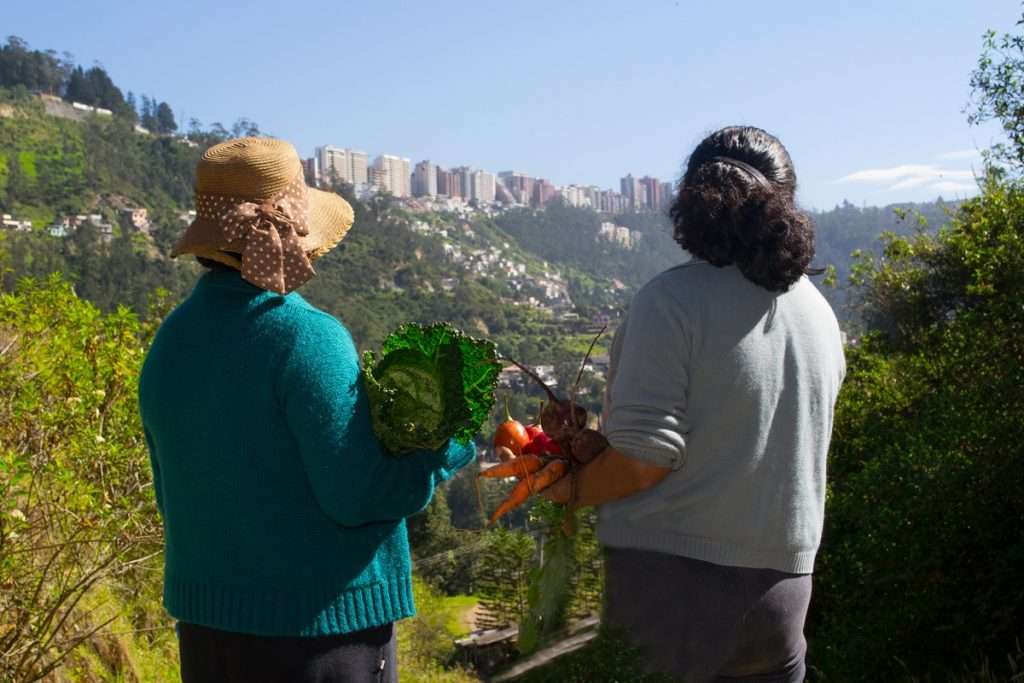 The Transformative Impact of Quito’s Resilient Food Security Program