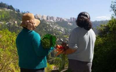 The Transformative Impact of Quito’s Resilient Food Security Program