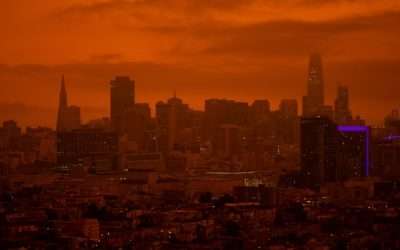 Speaker Series #31 – Climate Change Governance
