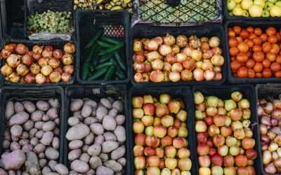 Impulsar la seguridad alimentaria desde el emprendimiento