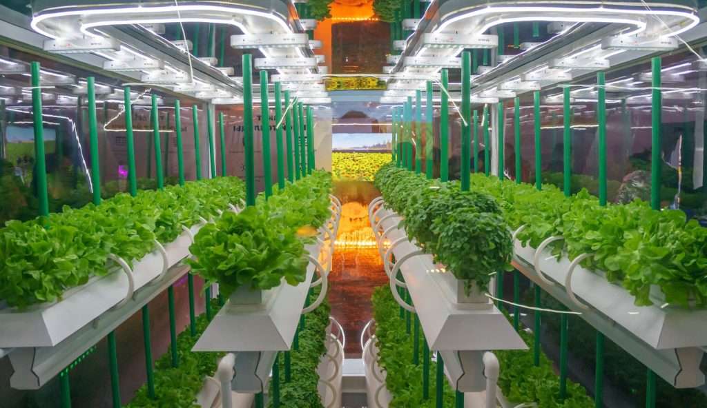 LoopFarms: urban agriculture and biogas