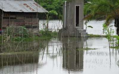 Speaker Series #15 –  Climate Resilient Urban Sanitation