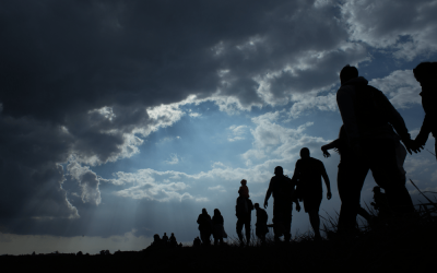 Speaker Series #19 –  Migration and Resilience, the MOVE book