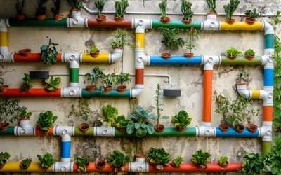 Globally, 150 million urban residents are food insecure, while cities generate over 2.8 billion tons of organic waste each year; Resilient Cities Network and Arup call for urgent action to reduce and repurpose food waste in cities around the world.