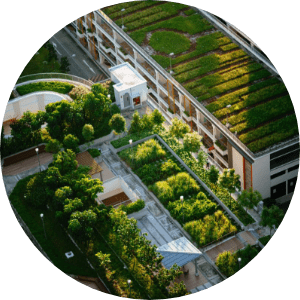 resilience-for-communities