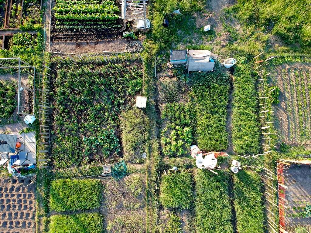 Speaker Series #14 Urban Eats: Cities Tackling Food Resilience