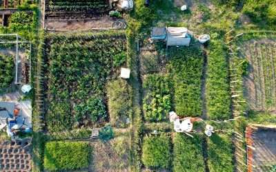 Speaker Series #14 Urban Eats: Cities Tackling Food Resilience