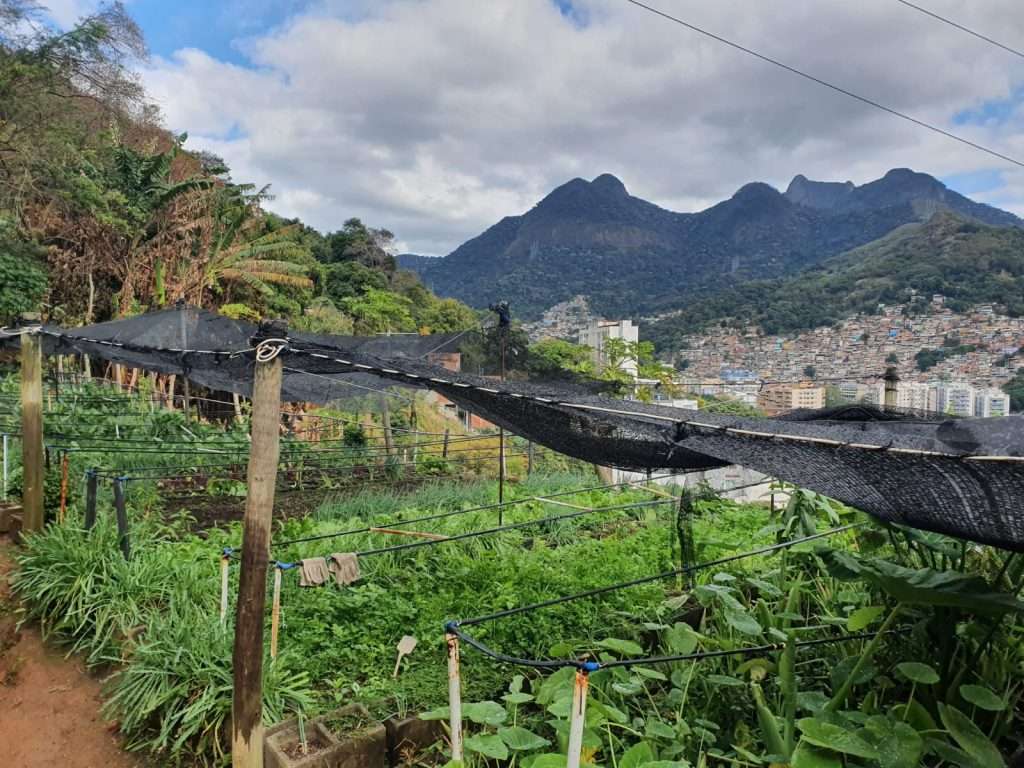Hortas Cariocas – Rio de Janeiro’s Urban Green Gardens