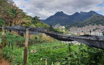 Hortas Cariocas – Rio de Janeiro’s Urban Green Gardens