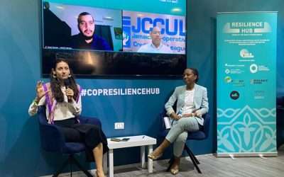 Cities on the Frontlines of Climate Resilience: 10 Pathways for Action from COP27 to COP28