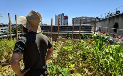 The Paris urban agriculture agenda – Parisculteurs