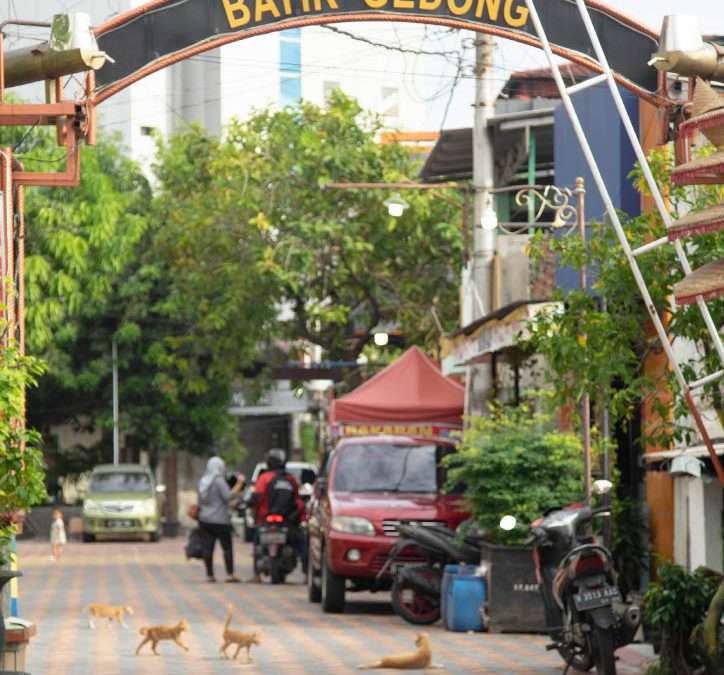Catalyzing City Resilience Solutions: Semarang