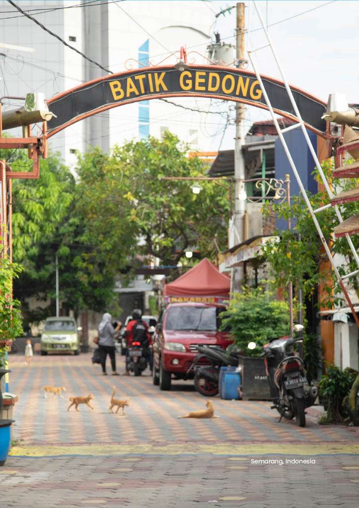 Catalyzing City Resilience Solutions: Semarang