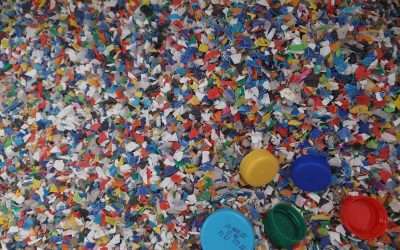 From marine plastic to public living rooms, Panama City is recycling with resilience