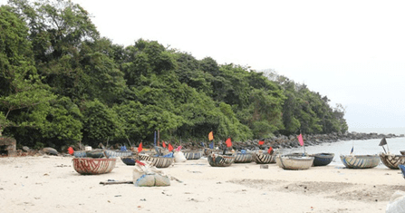 Catalyzing City Resilience Solutions: Da Nang