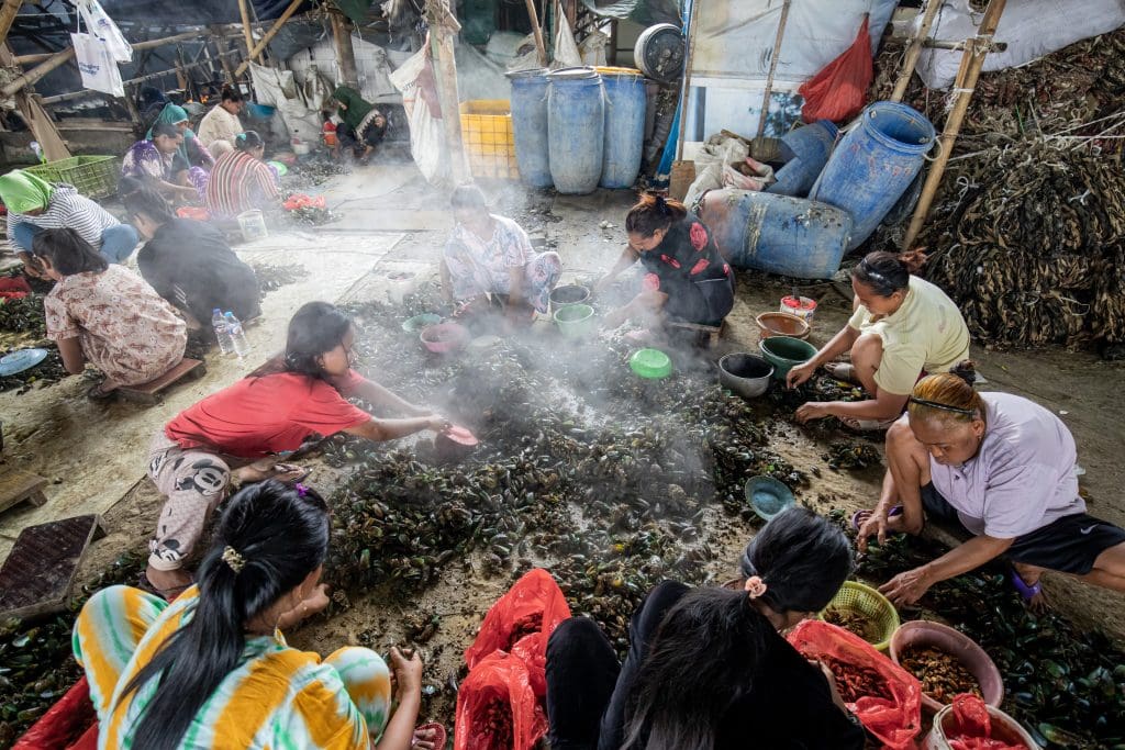 The Green Opportunity of Green Mussels, Jakarta