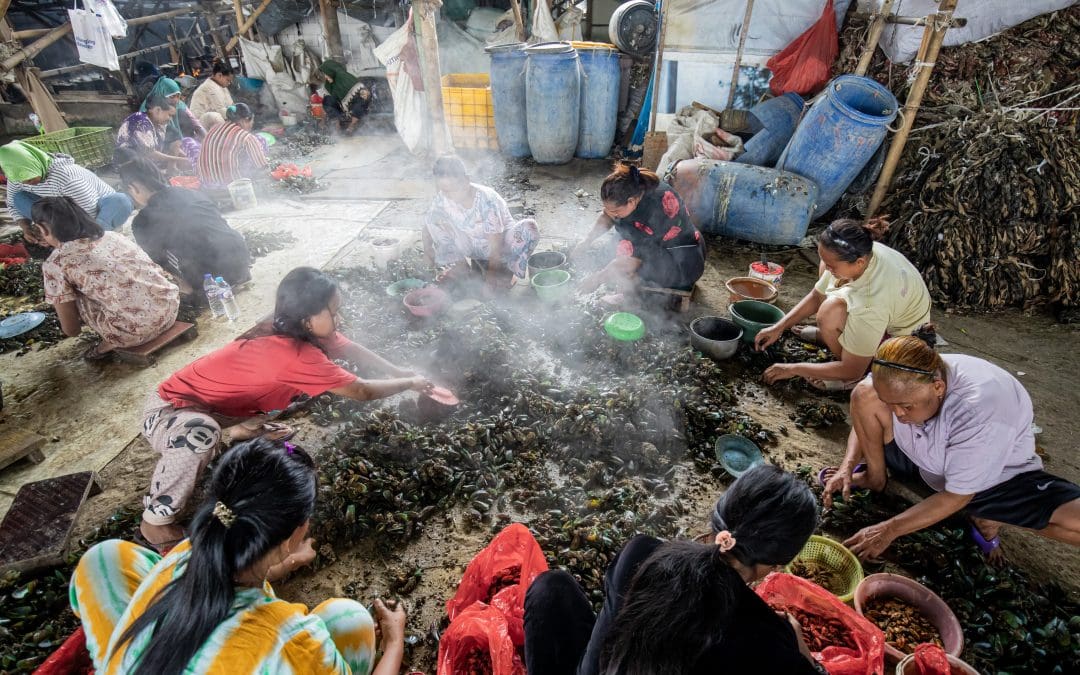 The Green Opportunity of Green Mussels, Jakarta