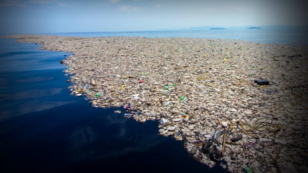 Speaker Series 2023 #6 | Ocean and Circularity