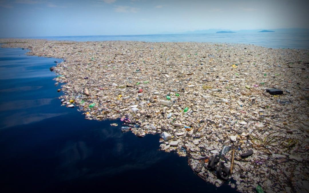 Speaker Series 2023 #6 | Ocean and Circularity