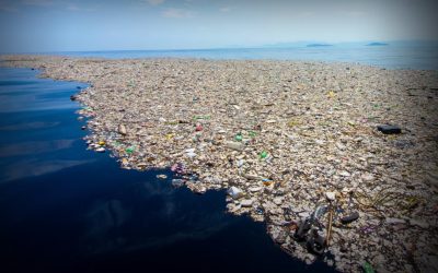 Speaker Series 2023 #6 | Ocean and Circularity