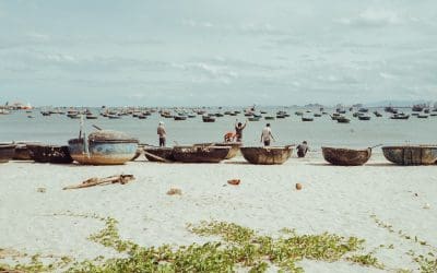 Saving the Soul of Vietnamese Cuisine, Da Nang