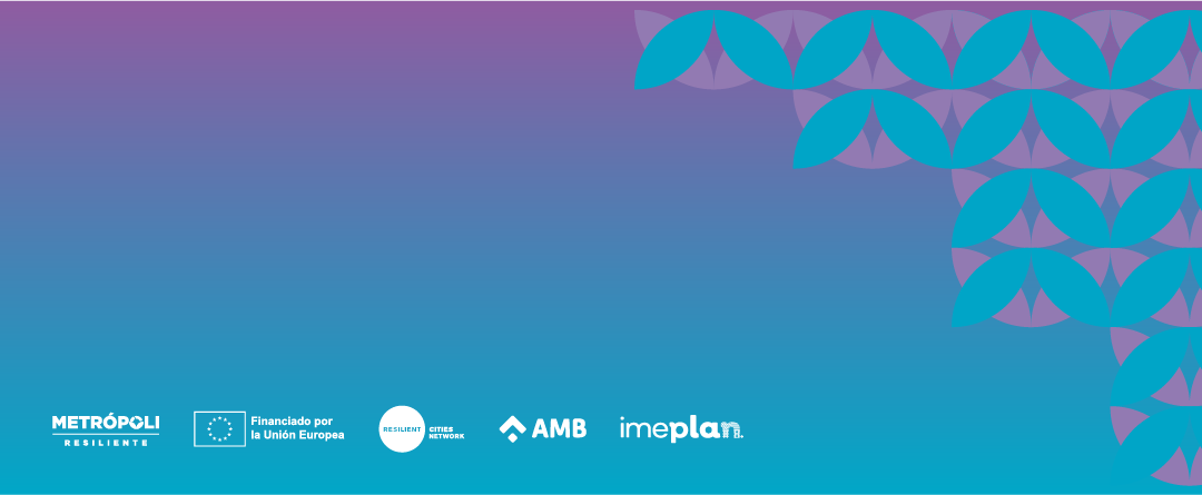 Metropolitan Resilience International Congress