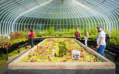 Climate Emergency: Cities Must Take The Lead 