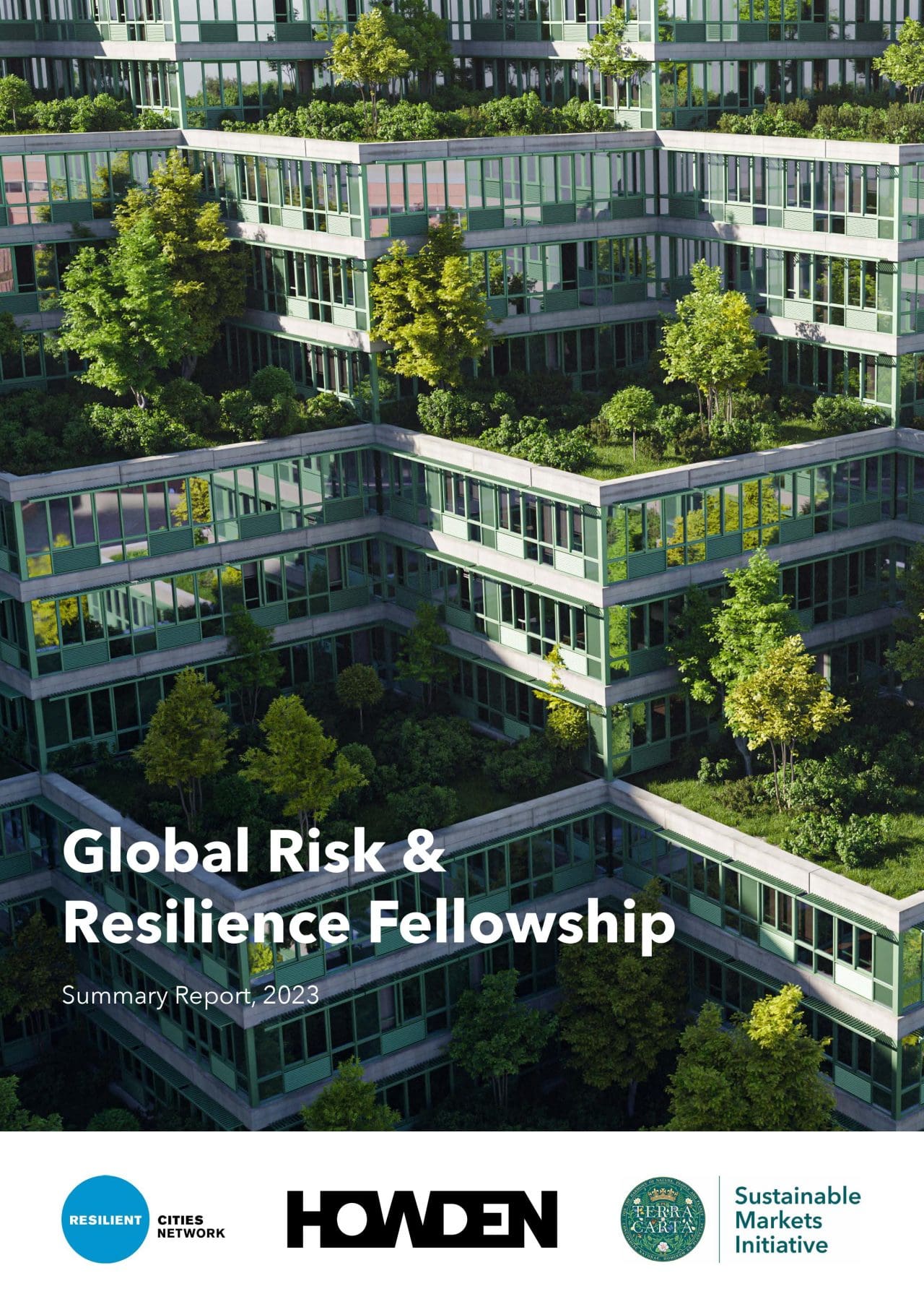 The Global Risk and Resilience Fellowship – Resilient Cities Network