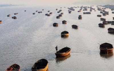 Urban Ocean: Surat