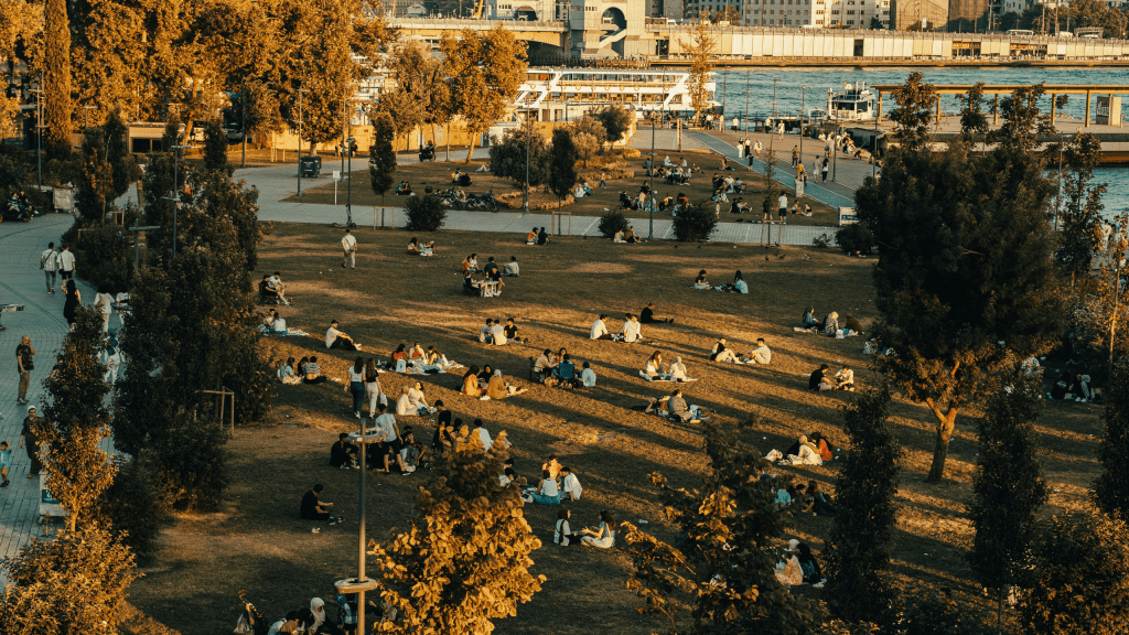 Resilient Cities Network 2022-2023 Impact Report