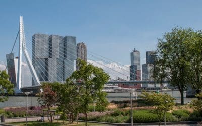 Episode 21: Looking back, Looking forward. 10 years of urban resilience featuring Rotterdam