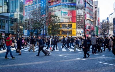 The R-Cities 2023 member city survey
