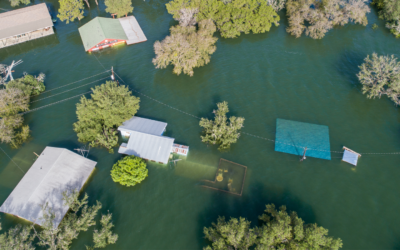 Speaker Series 2024 #11 | De-risking the Future: Climate Risk, Public-Private Collaboration, and the Value of Insurance