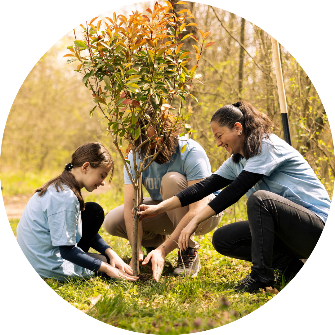 8 RCN Oasis Thumbnail