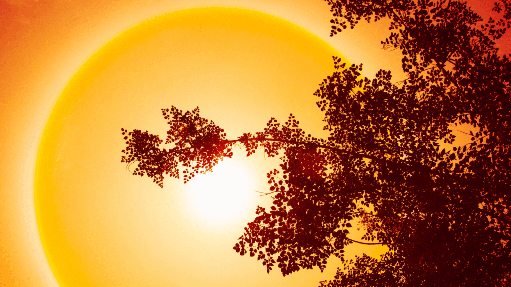 Speaker Series 2025 #06 | Beating the Heat: Resilient Response at Two Speeds 