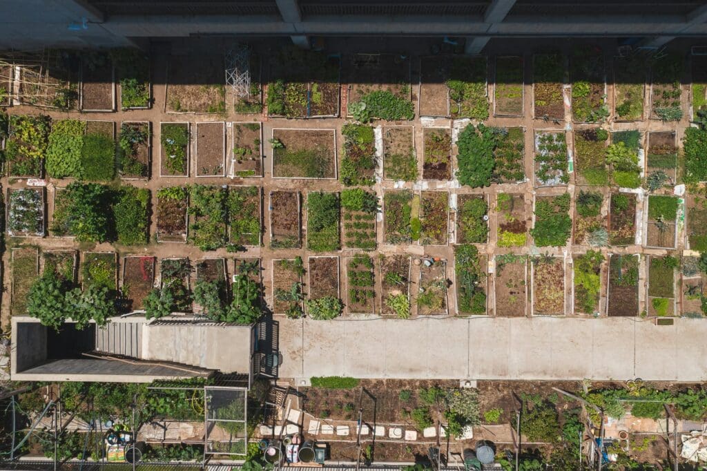 NUTRISOIL Policy Brief: How restoring urban soil is a powerful climate solution