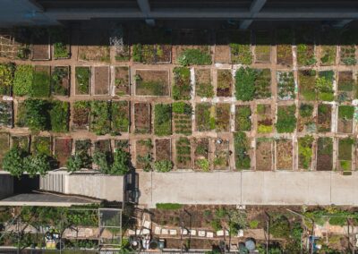NUTRISOIL Policy Brief: How restoring urban soil is a powerful climate solution