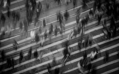 2025 Global Risk and Resilience Fellowship Report