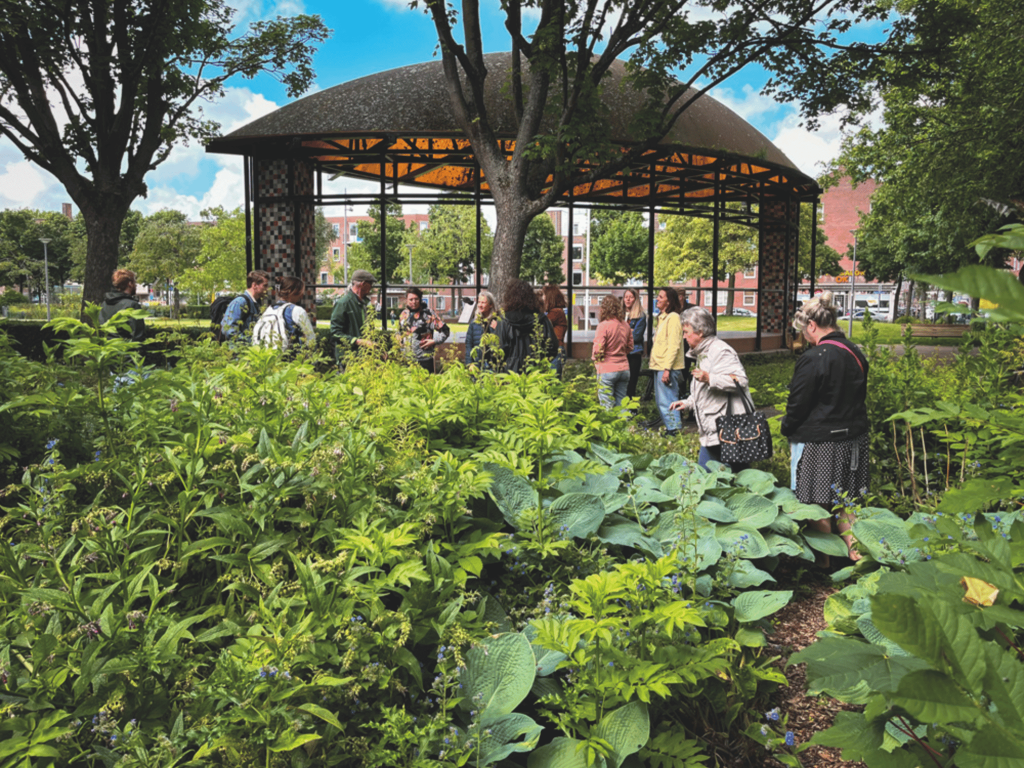 Stories of Neighborhood Resilience from Rotterdam’s BoTu