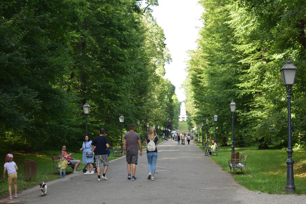 A group of people walking through a park