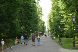 A group of people walking through a park