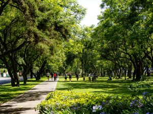 Lush urban green corridor providing tree canopy shade, active mobility paths, and public recreational space for community well-being.